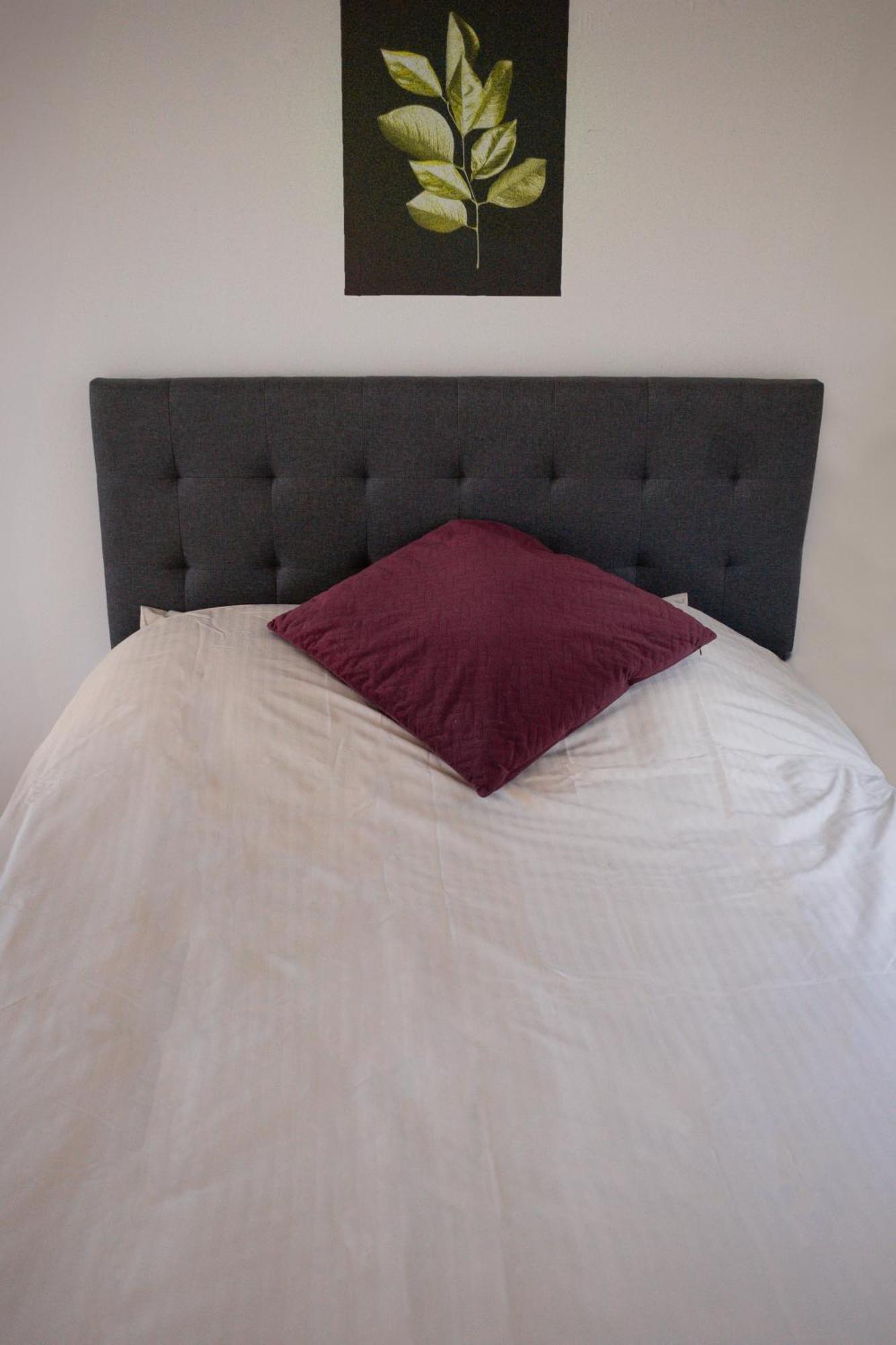 Spa Central Charmant Duplex Cosy 90M2 A 300M Rue Pietonne Et 500 M Du Port 滨海布洛涅 外观 照片
